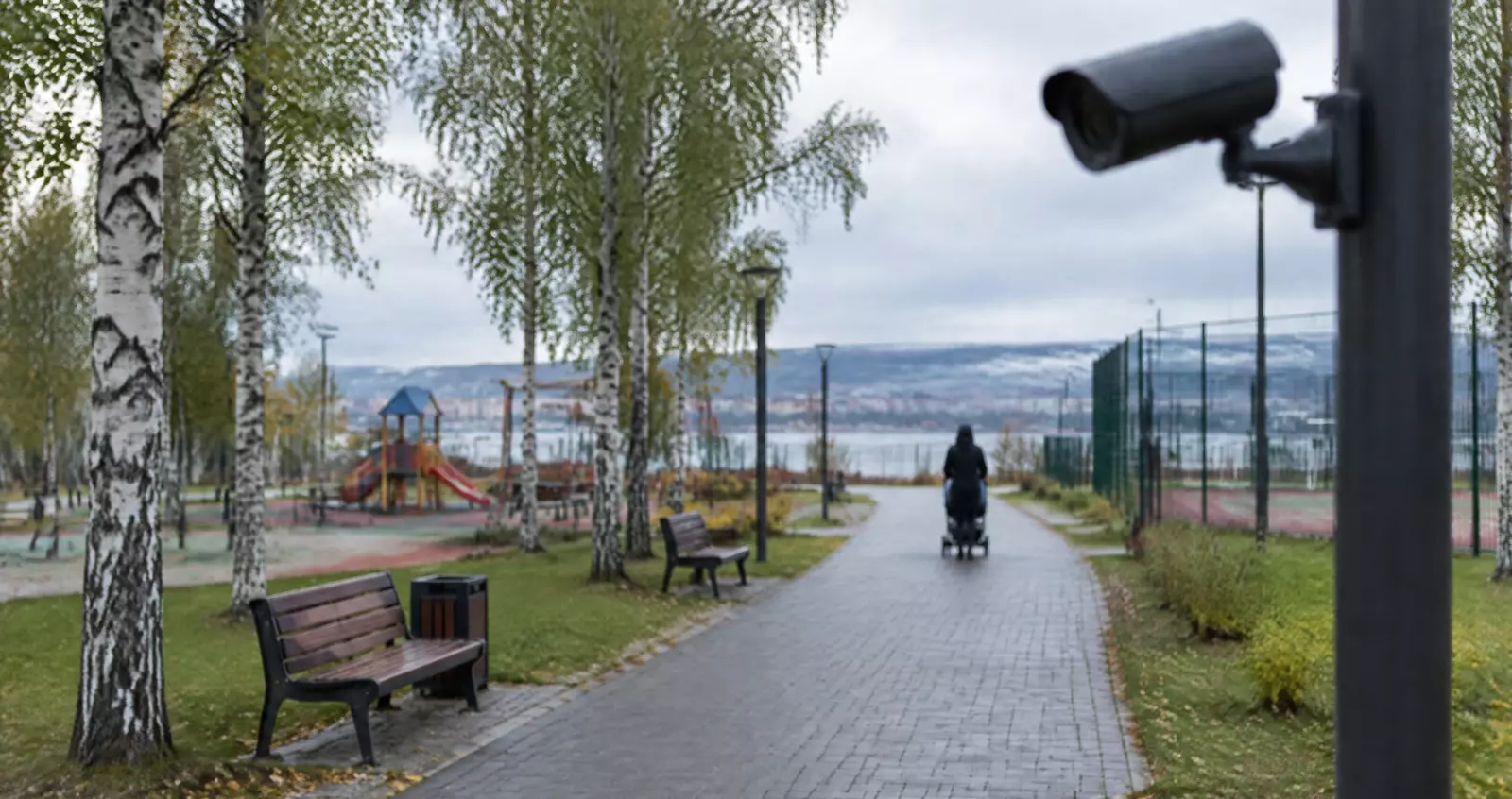 В архангельском парке «Зарусье» две камеры подключили к «Безопасному городу»