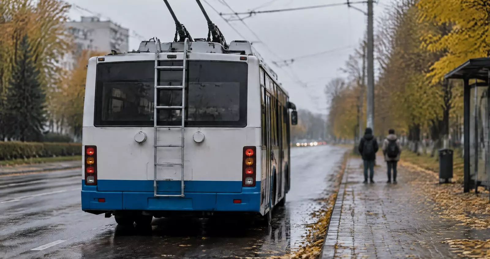 В Петрозаводске разыскивают подростков, которые висели на лестнице троллейбуса
