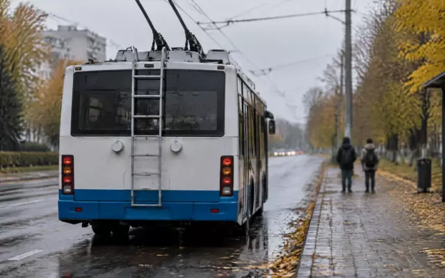 В Петрозаводске разыскивают подростков, которые висели на лестнице троллейбуса